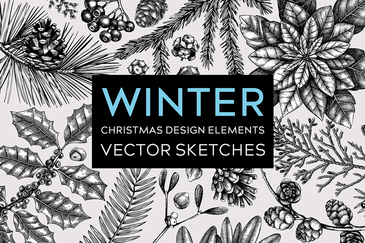 Winter plant vector sketches. Christmas design elements collection. Illustration